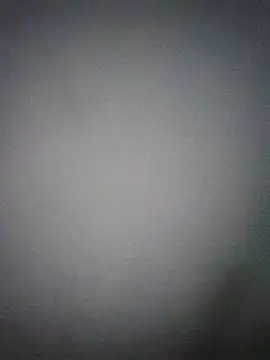 Perropa online show from March 2026 03:37:01 AM