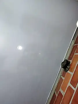 Perropa online show from February 2026 01:17:01 AM