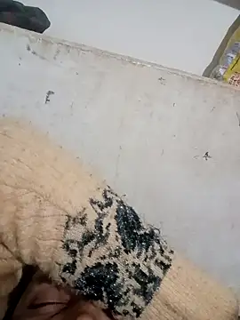 Payal950 online show from December 2025 03:44:02 PM