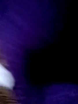 Payal950 online show from February 2026 04:18:02 PM