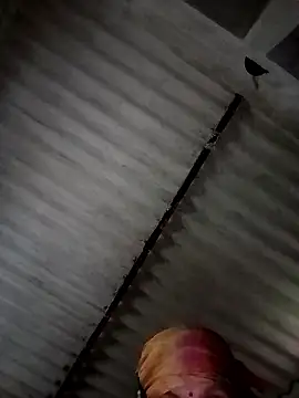 Payal950 online show from January 2026 01:53:02 AM