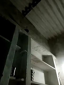 Payal950 online show from November 2025 12:42:01 PM