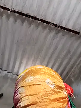 Payal950 online show from November 2025 08:29:02 AM