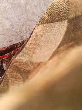 Payal950 online show from February 2026 07:49:01 AM