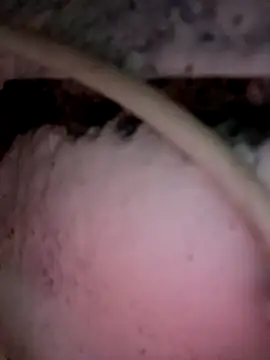 Payal950 online show from December 2025 12:01:02 AM