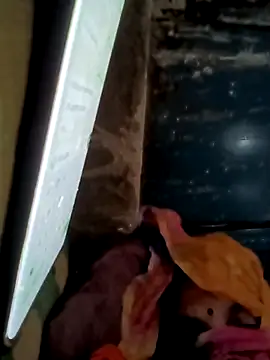 Payal950 online show from November 2025 01:43:01 AM