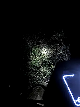 MODEST11 MMiILOO AMARO online show from November 2025 05:33:02 AM