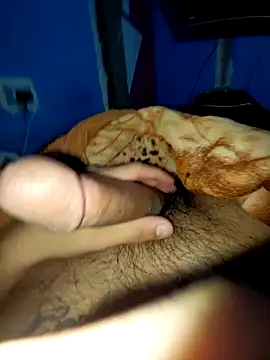 Exotic19cm online show from December 2025 06:29:01 AM