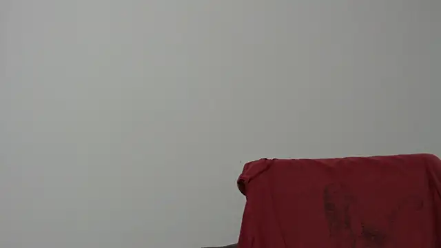 Rocky Muscle online show from February 2026 04:52:02 AM