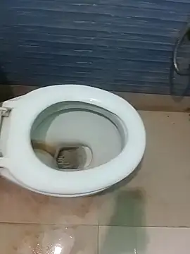 monmohua online show from October 2025 06:42:02 PM