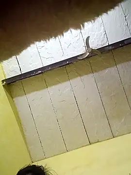 Snapshot of Seema_guptaji chatting on November 2025 09:19:01 PM Seema guptaji online show from November 2025 09:19:01 PM