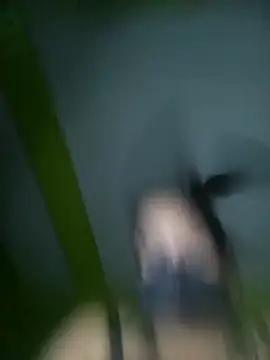 KITTUAAA online show from November 2025 05:27:02 PM