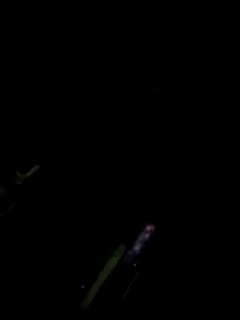 TSPRAJ0 online show from November 2025 05:17:02 PM