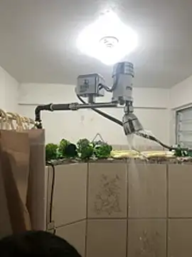 YadielPublic online show from February 2026 12:55:02 AM