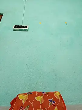 ShinuRoy online show from November 2025 10:54:01 PM