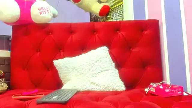 Snapshot of teilor_dreamse chatting on November 2025 09:48:01 PM teilor dreamse online show from November 2025 09:48:01 PM