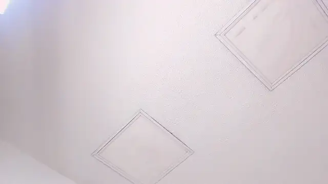 Tyler durten online show from February 2026 03:15:01 AM