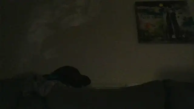 Snapshot of branletteur chatting on October 2025 07:53:02 AM branletteur online show from October 2025 07:53:02 AM