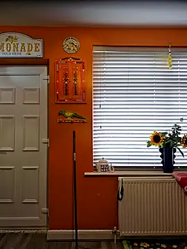 Filthymaddymilfy25 online show from March 2026 11:54:01 AM