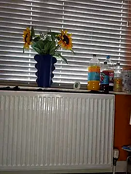 Filthymaddymilfy25 online show from December 2025 11:09:01 AM