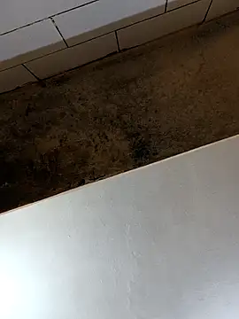 xyz-indian online show from October 2025 02:49:01 PM