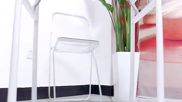 Snapshot of Tianxin6 chatting on January 2026 08:18:02 AM Tianxin6 online show from January 2026 08:18:02 AM