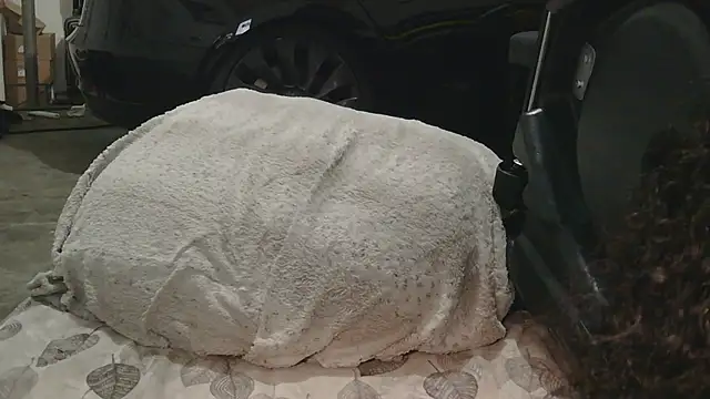 Snapshot of Gmajor chatting on December 2025 01:33:01 AM Gmajor online show from December 2025 01:33:01 AM