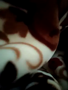 Hot pooja55 online show from February 2026 06:57:01 AM