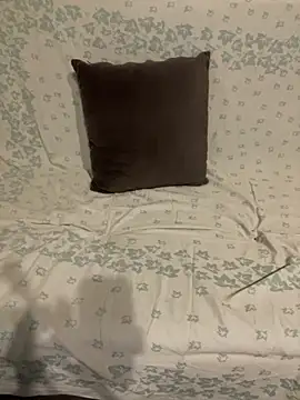 elsale009 online show from November 2025 11:11:02 AM