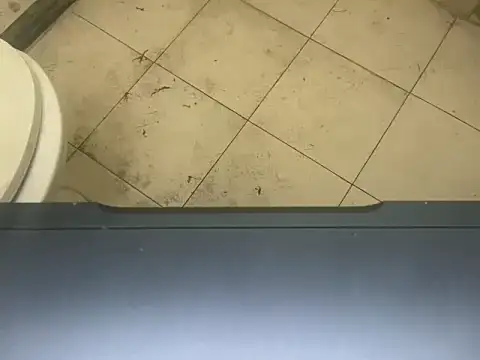 LustyDuoSecrets online show from November 2025 04:32:02 PM