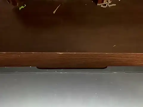 LustyDuoSecrets online show from April 2026 04:46:01 PM