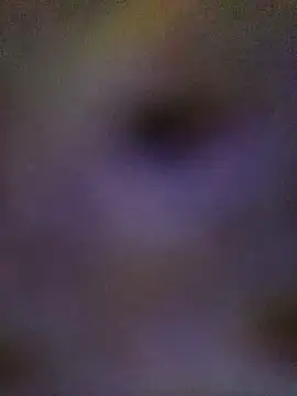 sadhna200 online show from October 2025 06:42:01 PM