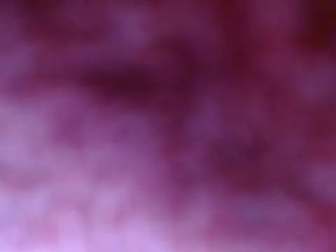 Your candy 47 online show from September 2025 01:24:02 PM