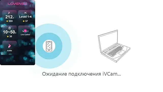 liuli flower online show from November 2025 04:28:01 PM