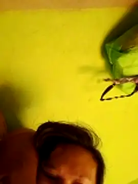 pussywet 08 online show from May 2026 11:16:02 PM