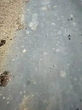 SmartLoda143 online show from November 2025 11:10:02 AM