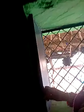 Manavi x online show from November 2025 10:30:01 AM