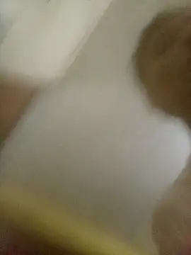 Snapshot of Bebicho14 chatting on February 2026 06:22:01 AM Bebicho14 online show from February 2026 06:22:01 AM