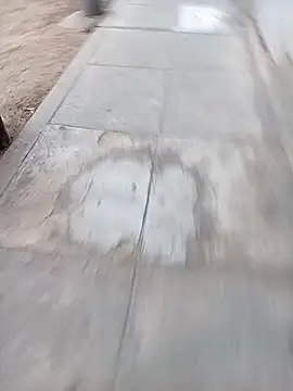 Snapshot of Bebicho14 chatting on February 2026 11:10:01 AM Bebicho14 online show from February 2026 11:10:01 AM