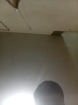 Snapshot of Bebicho14 chatting on March 2026 08:39:02 AM Bebicho14 online show from March 2026 08:39:02 AM