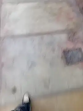 Snapshot of Bebicho14 chatting on February 2026 11:21:02 AM Bebicho14 online show from February 2026 11:21:02 AM