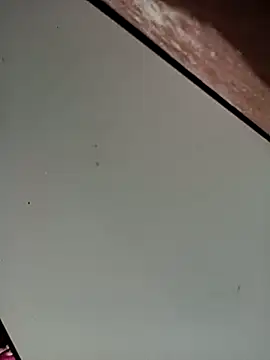 Bebicho14 online show from November 2025 05:23:01 AM