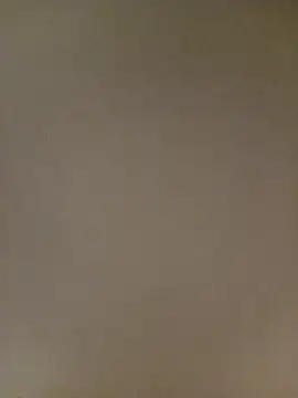 Snapshot of Bebicho14 chatting on February 2026 06:35:02 AM Bebicho14 online show from February 2026 06:35:02 AM