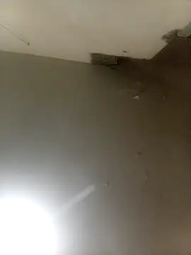 Bebicho14 online show from September 2025 05:19:02 AM