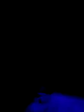 Jbames4567 online show from September 2025 01:22:01 AM