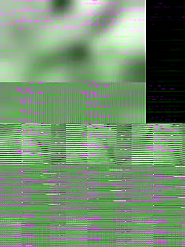 Snapshot of mohan_092 chatting on December 2025 08:04:02 PM mohan 092 online show from December 2025 08:04:02 PM