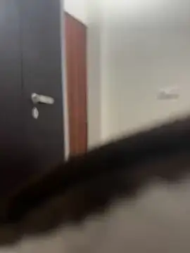 DJLOVE280825 online show from February 2026 07:50:01 AM