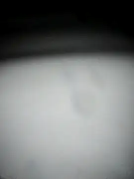 hana9998 online show from September 2025 12:54:01 AM