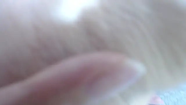 karla lopes online show from December 2025 12:55:01 PM