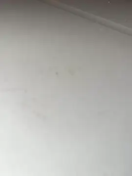 Bandidasexy22 online show from October 2025 02:27:02 PM